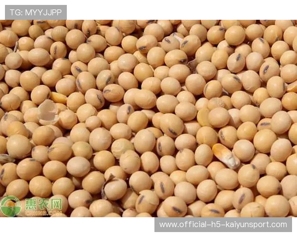 大豆没买？波音还没谈？商务部这次说清楚了，大豆还进口吗